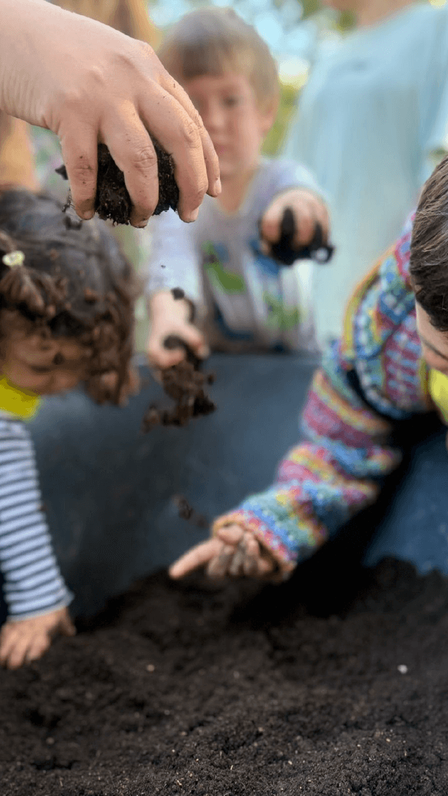 Chicos en la huerta orgánica del jardín 1