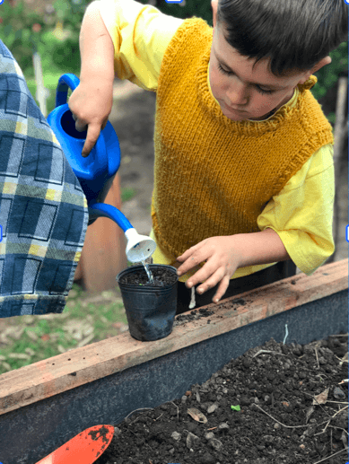 Chicos en la huerta orgánica del jardín 2