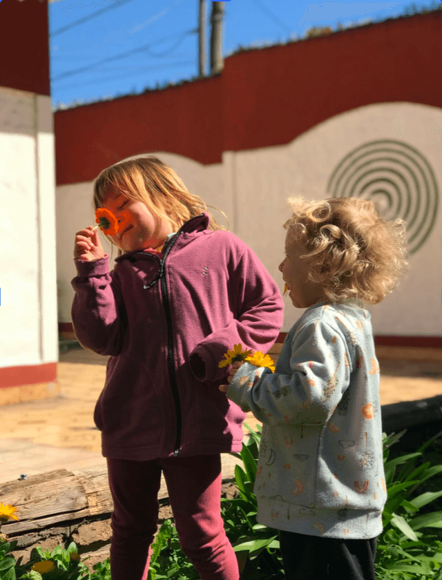 Chicos en la huerta orgánica del jardín 3