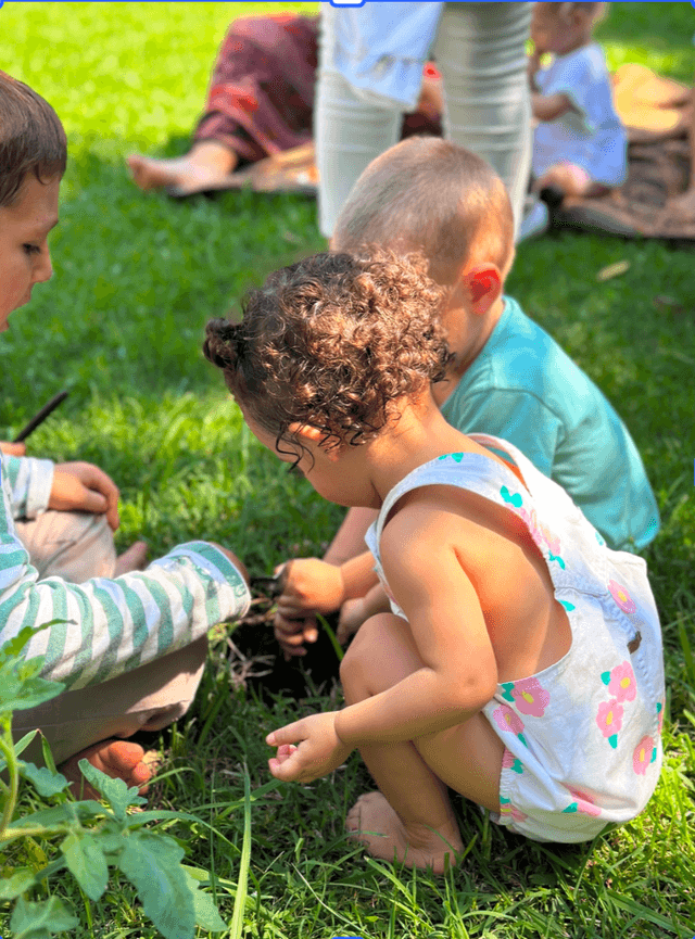 Chicos en la huerta orgánica del jardín 4