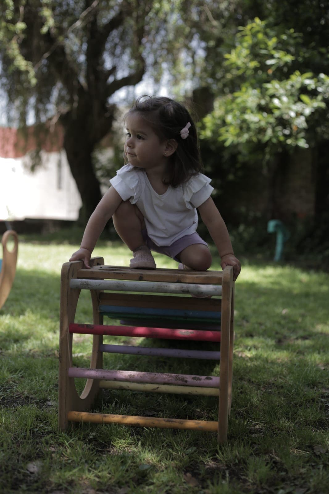 Foto del jardín 3