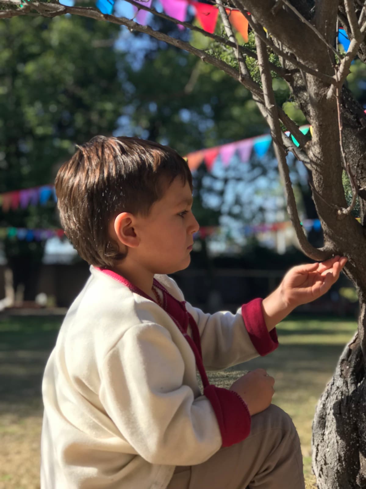 Foto del jardín 25
