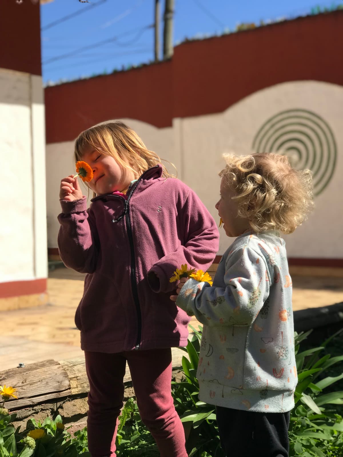 Foto del jardín 27