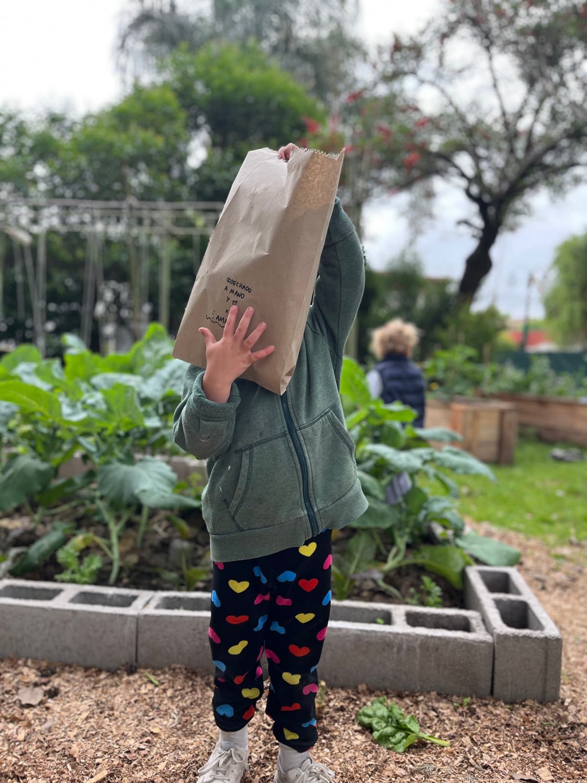 Foto del jardín 35