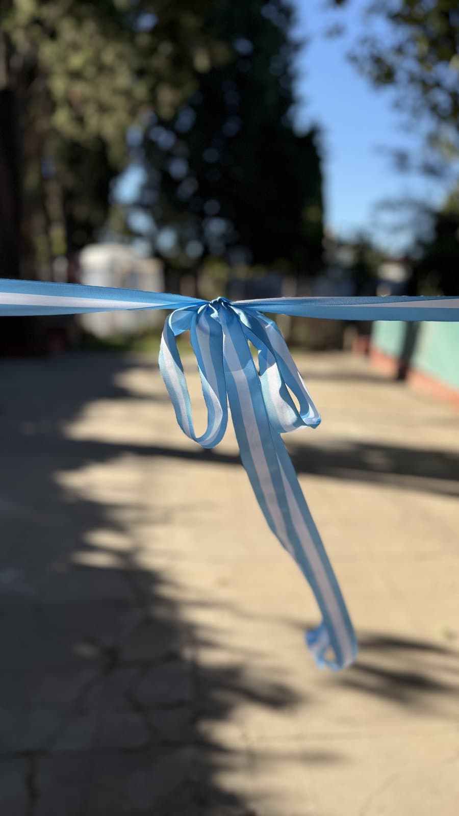 Foto del jardín 41
