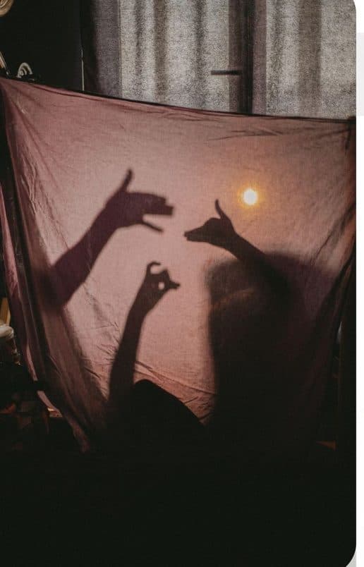 Juego de sombras con las manos